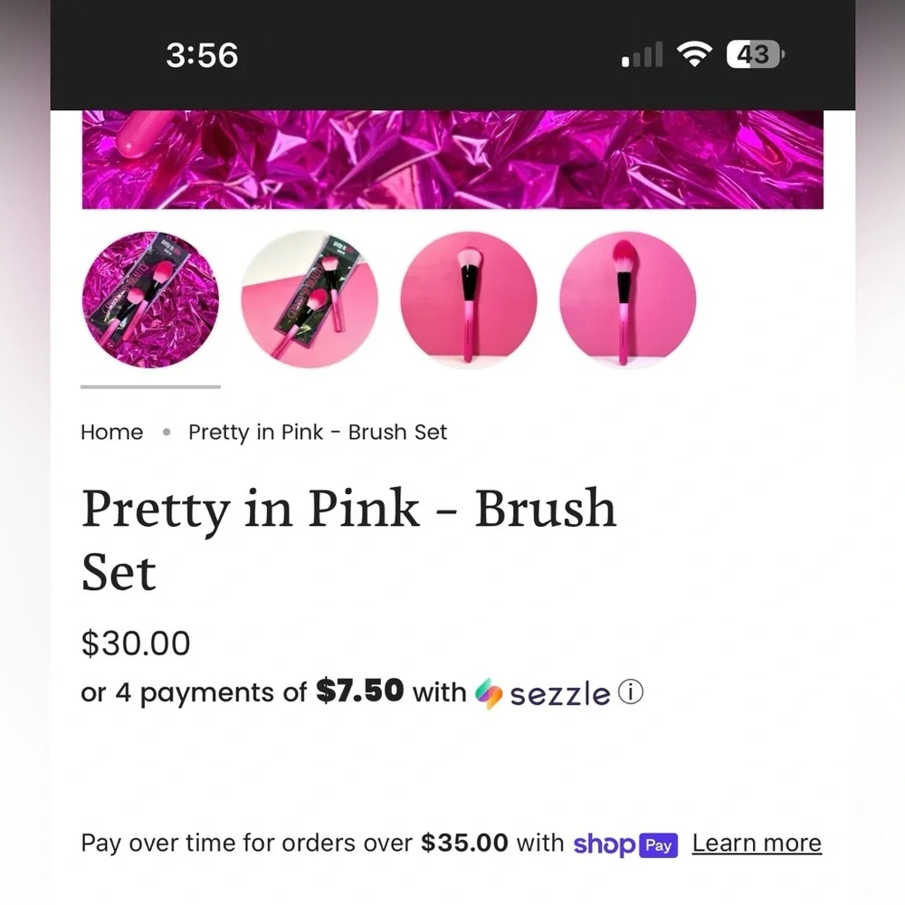 Pink Brush Set​